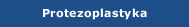 Protezoplastyka